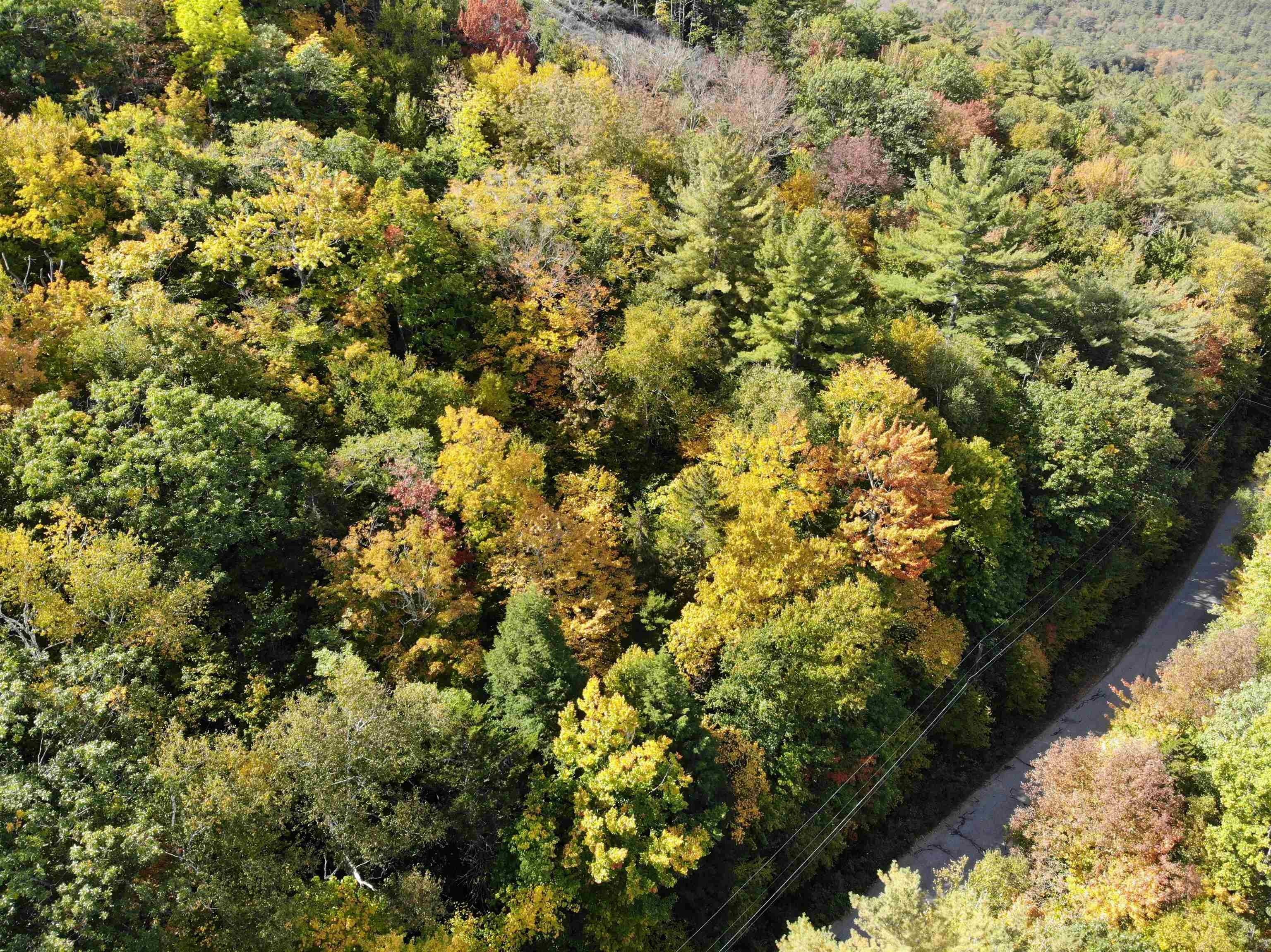 1.85 Acres, 000 Pegwood Road, Campton, NH 03223 Land and Farm