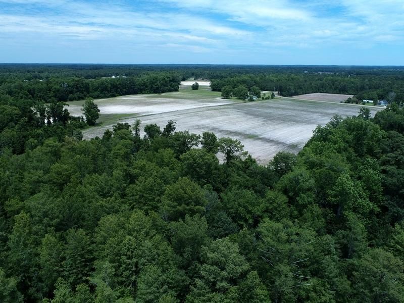 14 Acres, Pittman Loop Road, Fairmont, NC 28340 Land and Farm