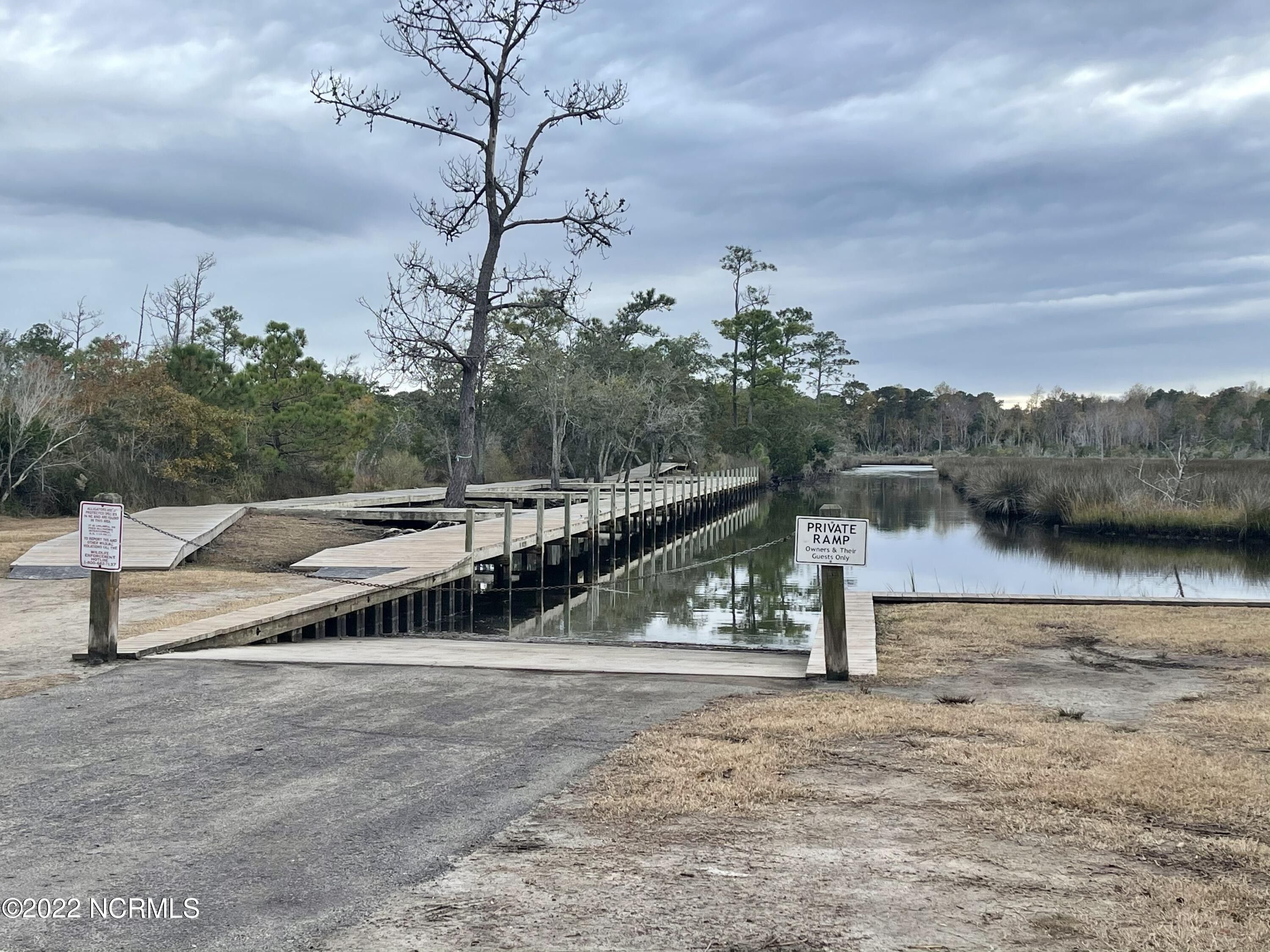 0.46 Acres, 241 Royal Tern Drive, Sneads Ferry, NC 28460 Land and Farm