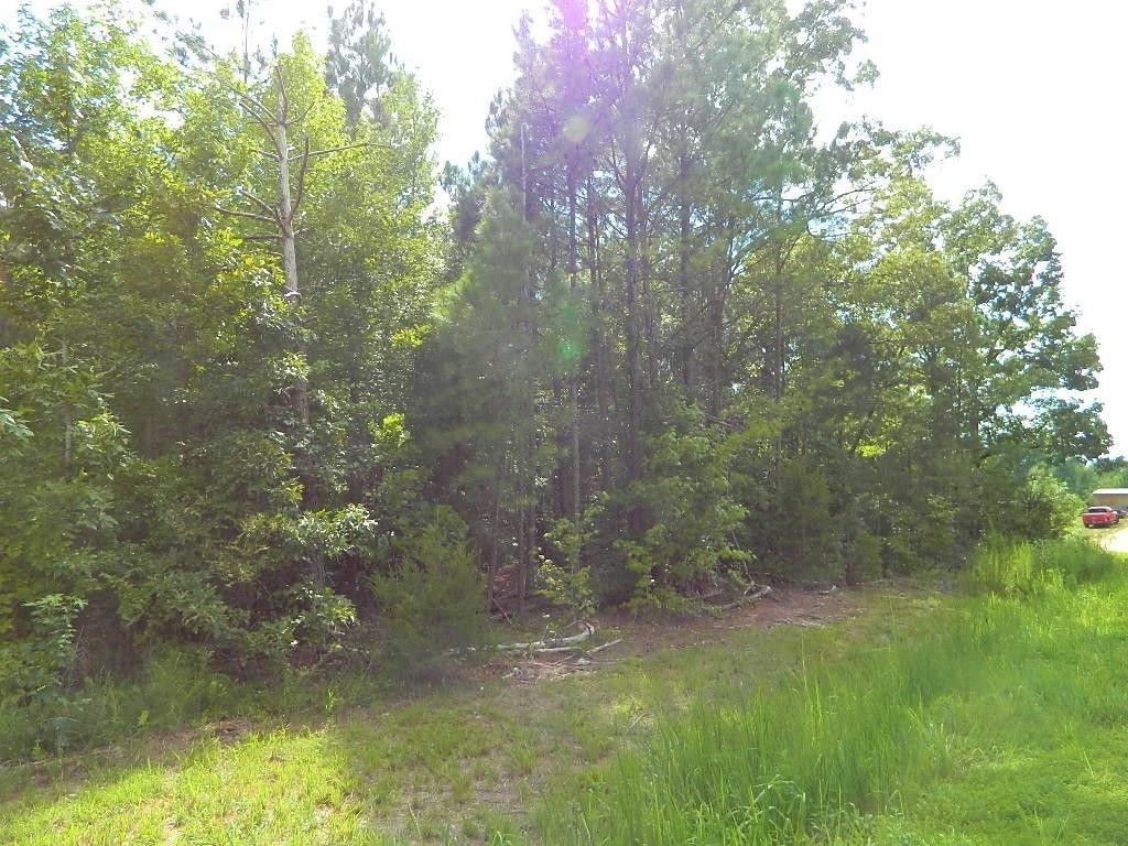 5 Acres, 5 Acres Stegall Road, Huron, TN 38345 Land and Farm