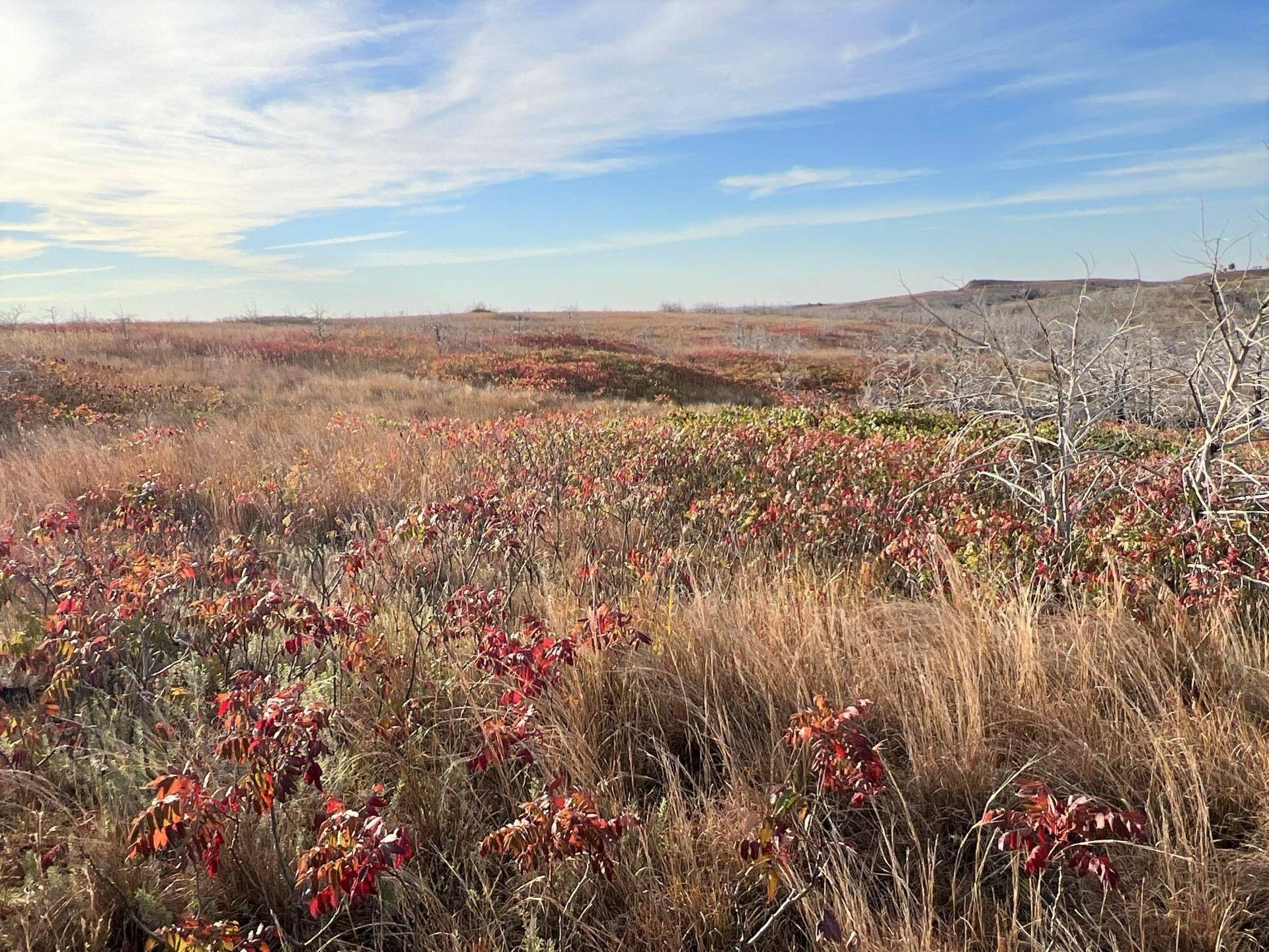 960 Acres, EAST 960 RD TALOGA, OK, Taloga, OK 73667 Land and Farm