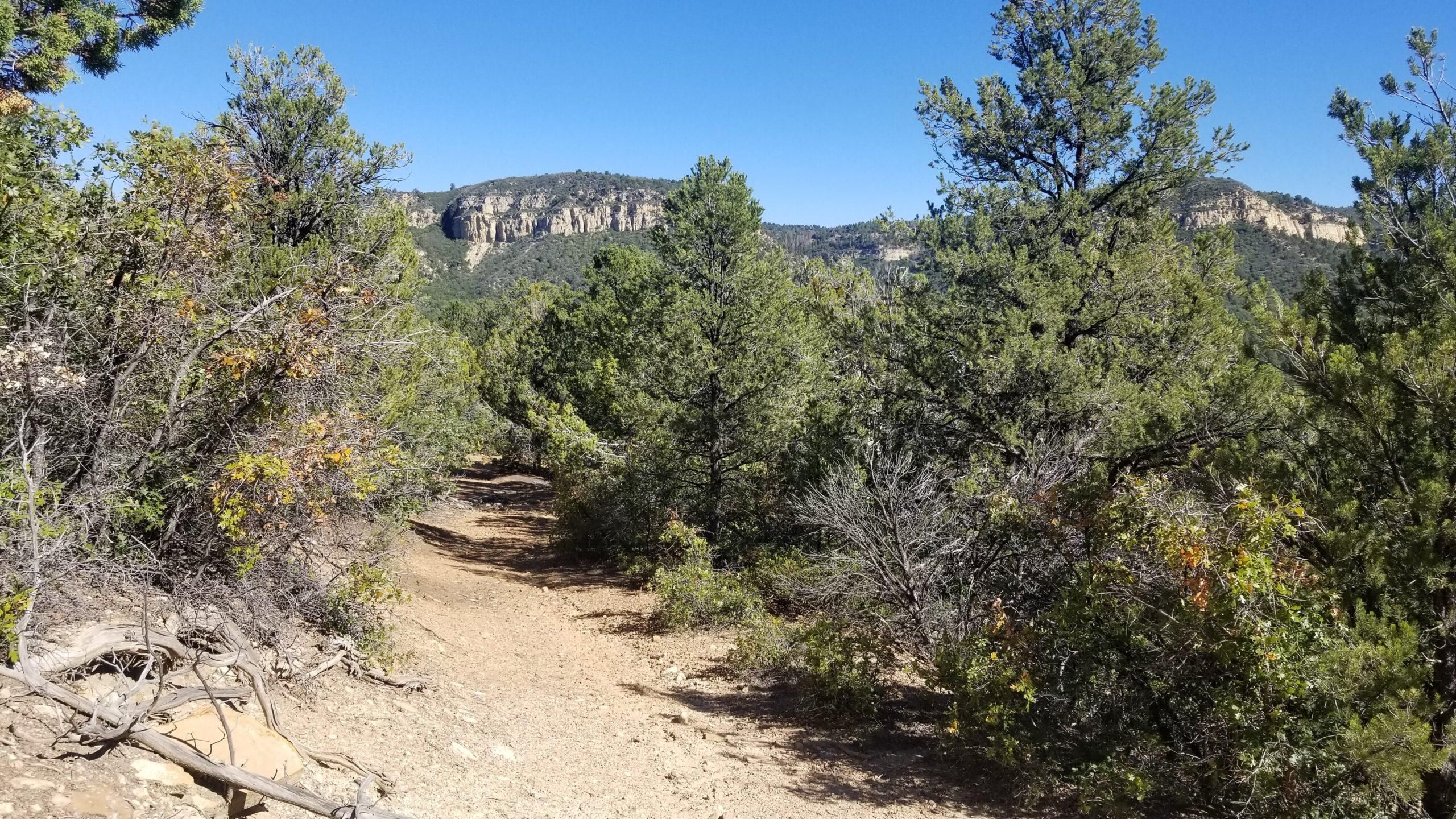 Hoadley Drive, Glendale, UT 84762 Land and Farm