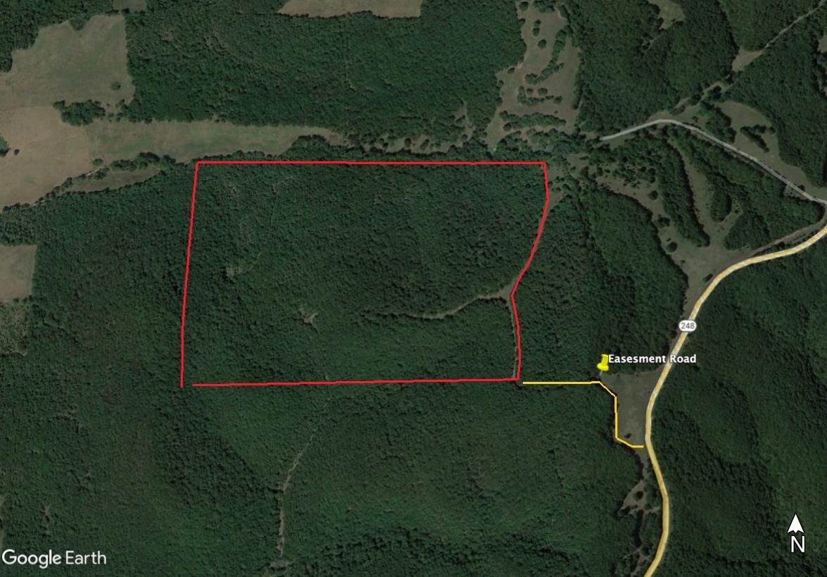 130 Acres, Jenkins, MO 65605 Land and Farm