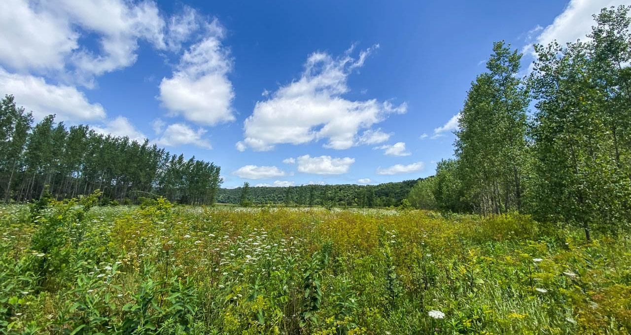 42 Acres, Decorah, IA 52101 Land and Farm