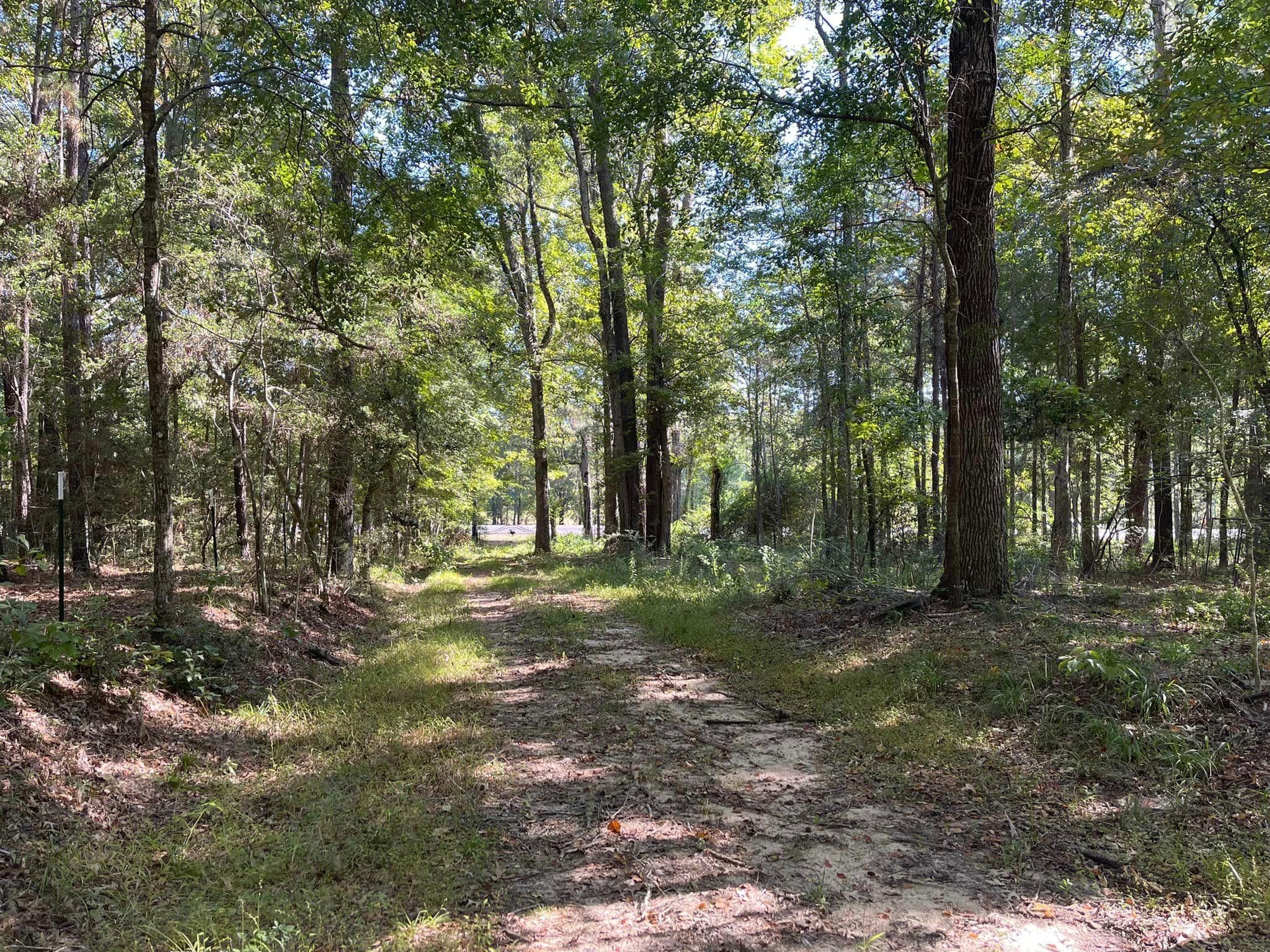 5.79 Acres, 11985 Main Street, Chester, TX 75936 Land and Farm