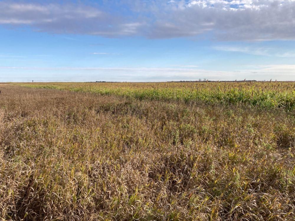 320 acres in Stickney, SD, 57375 Land and Farm