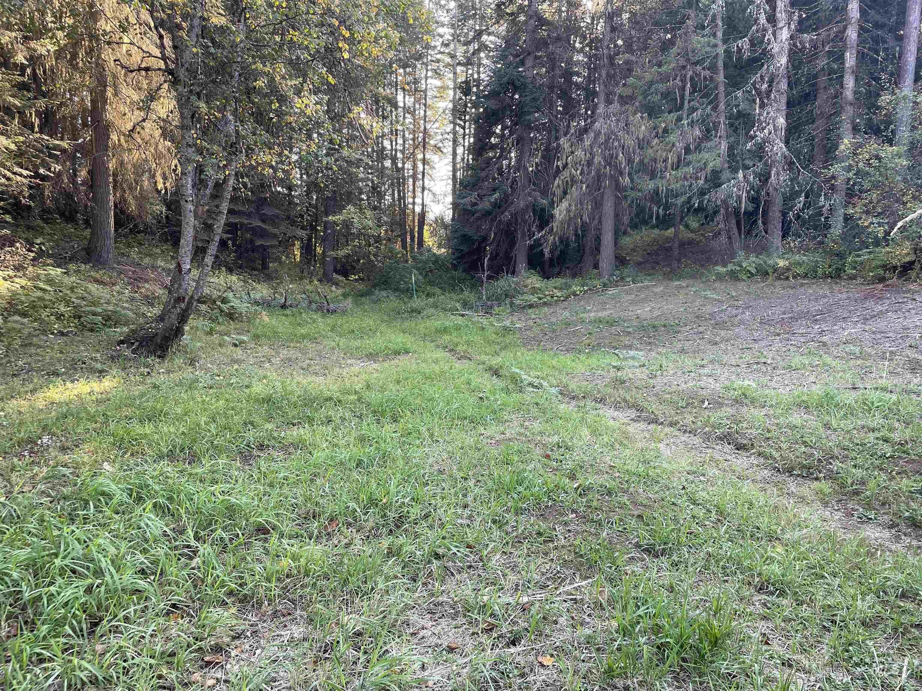 1.02 Acres, Tbd Schmidt Mill Road, Weippe, ID 83553 Land and Farm