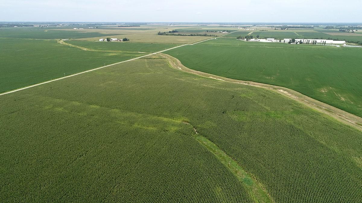 325.02 acres in Newton, IL, 62448 Land and Farm