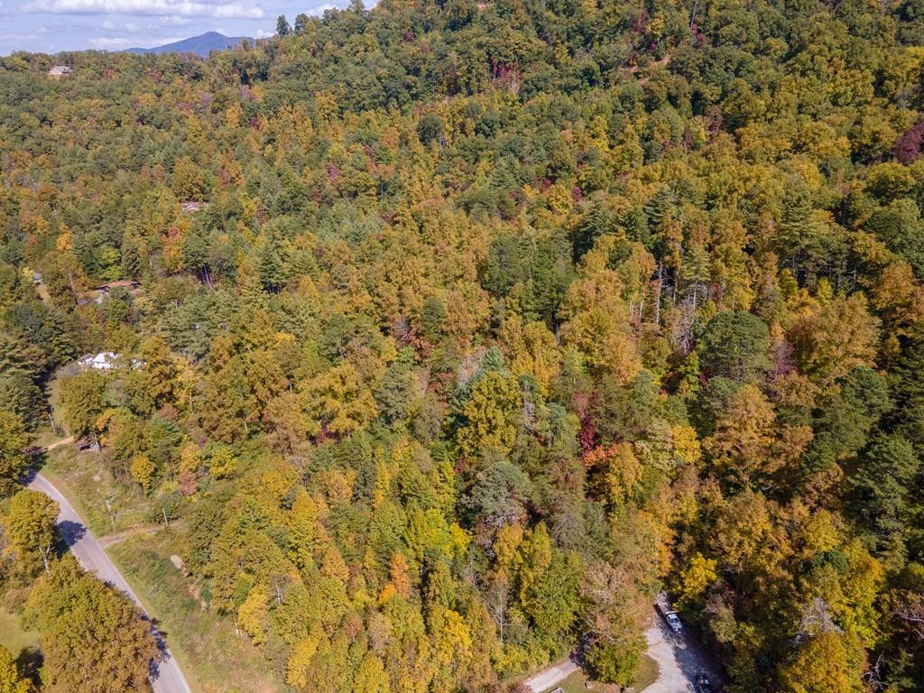 13.5 Acres, 1694 Mashburn Branch Road, Franklin, NC 28734 | Land and Farm