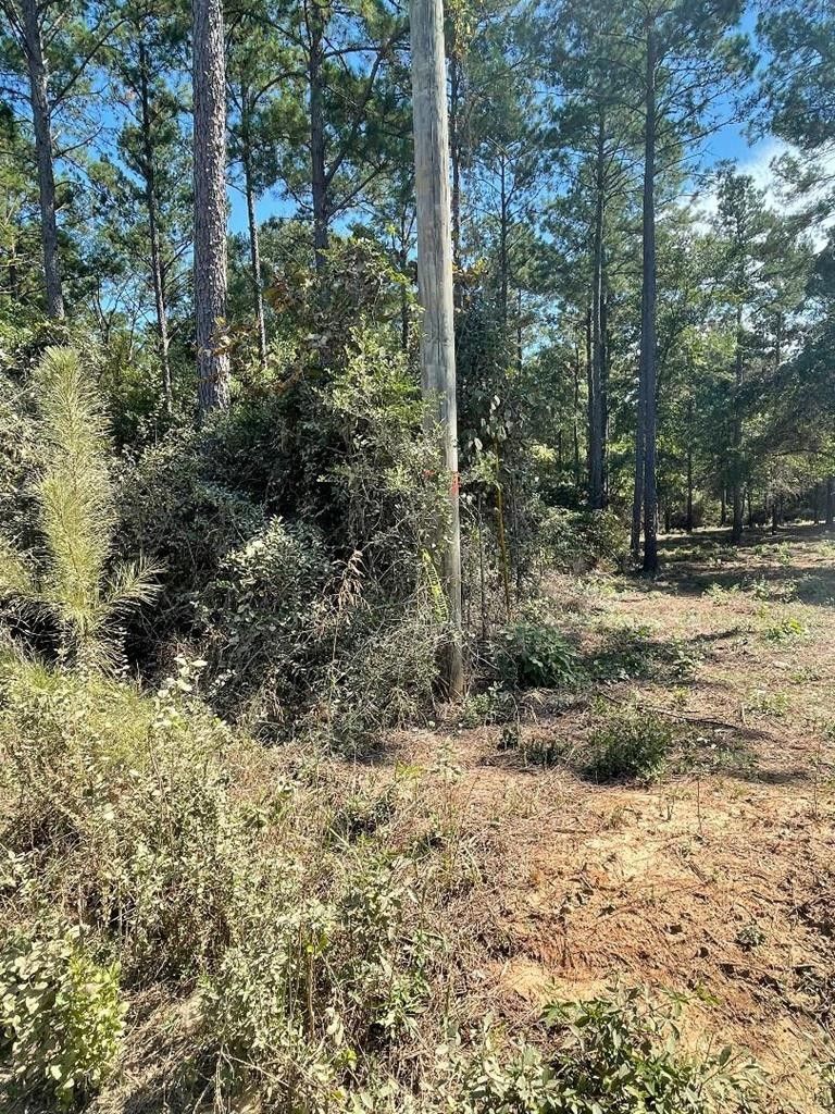 12 Acres, TBD CR 546, Woden, TX 75961 Land and Farm