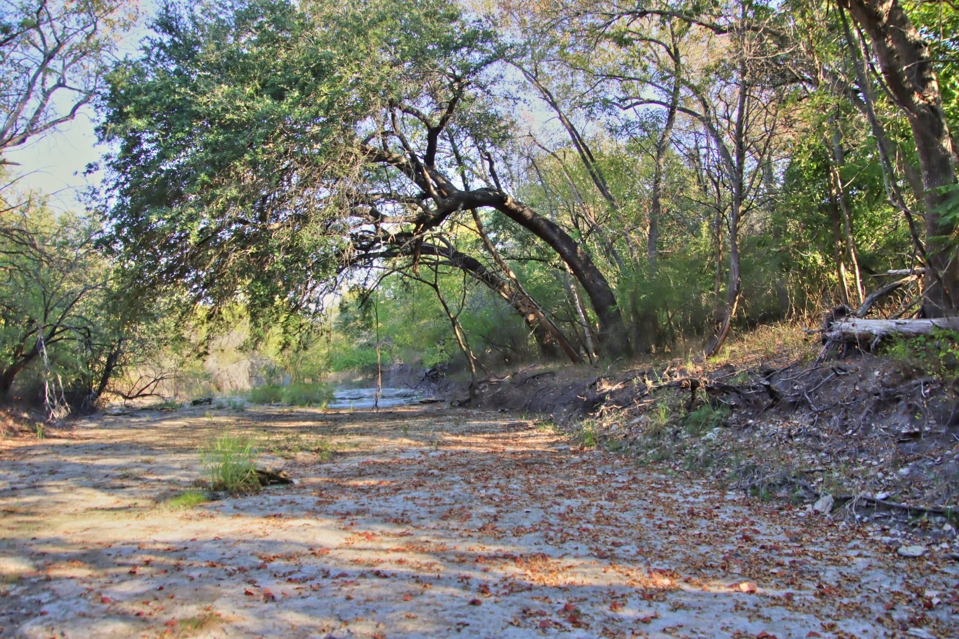26 Acres, Farm to Market Road 1291, Fayetteville, TX 78940 Land and Farm