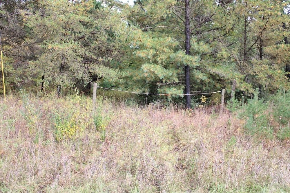 36 Acres, 36 Acres N Cook, Harrison, MI 48625 Land and Farm