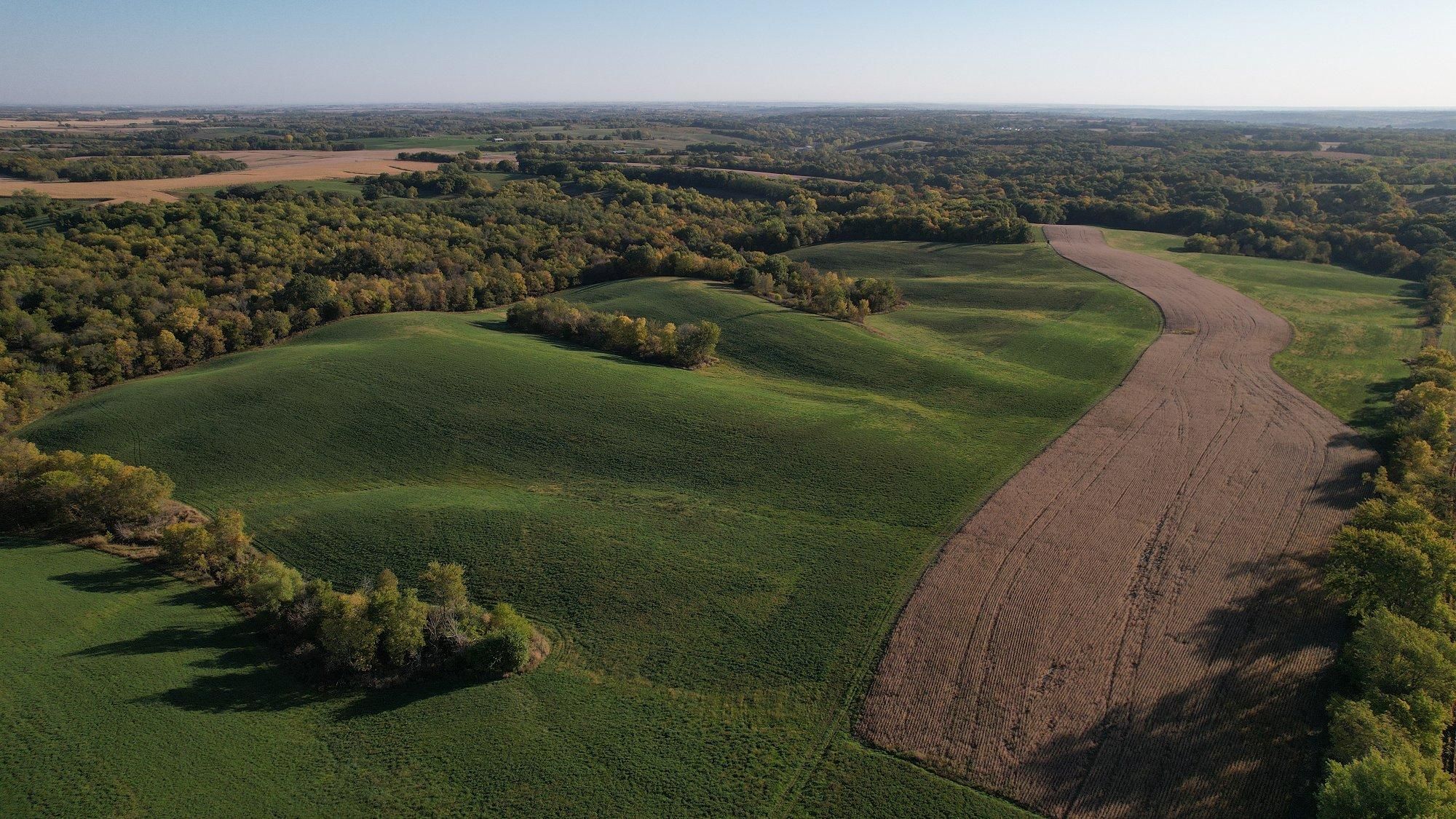 159 Acres, 290th Avenue, Chariton, IA 50049 Land and Farm