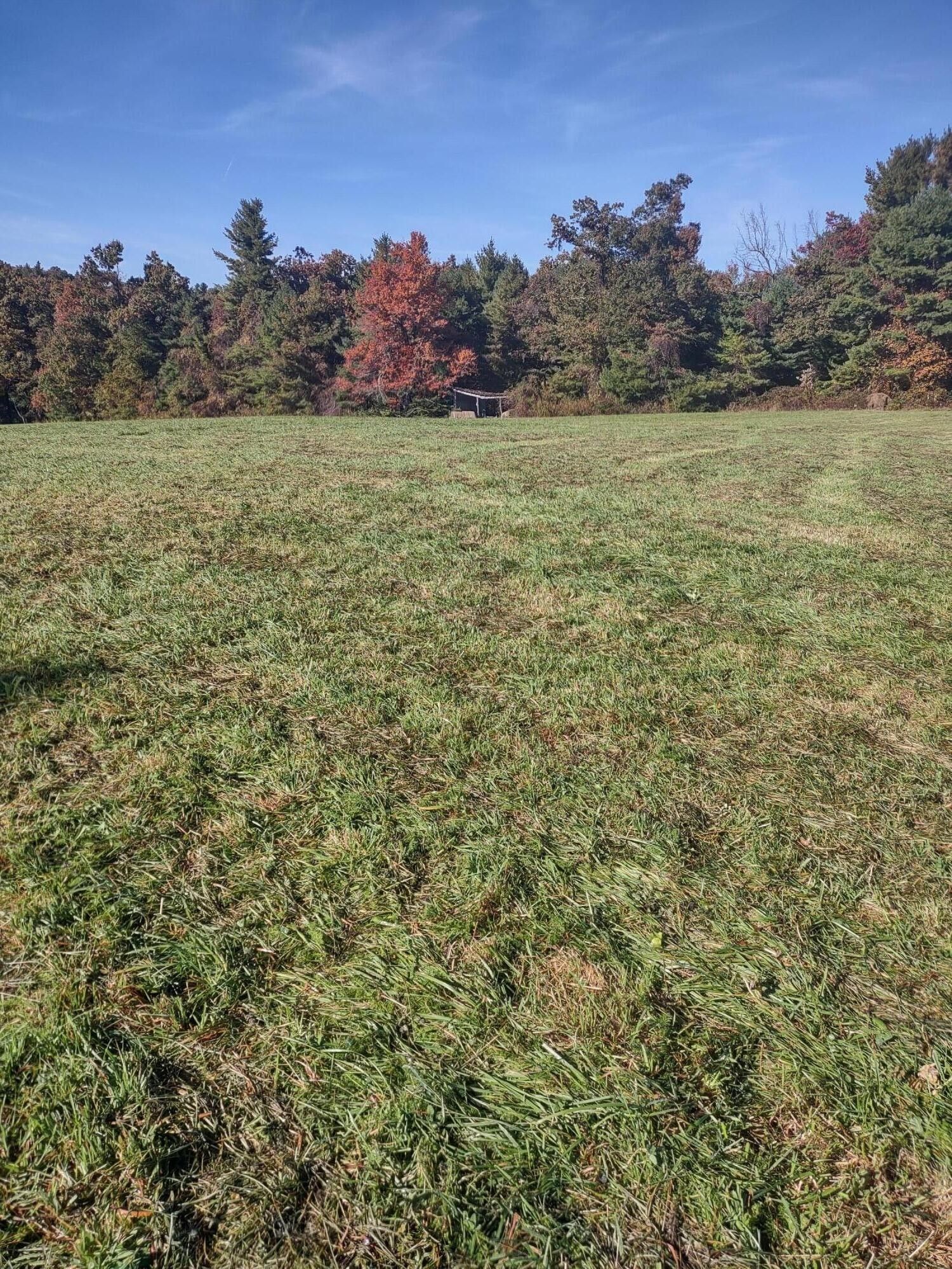 47.7 Acres, 0 Graysville RD SE, Copper Hill, VA 24079 Land and Farm