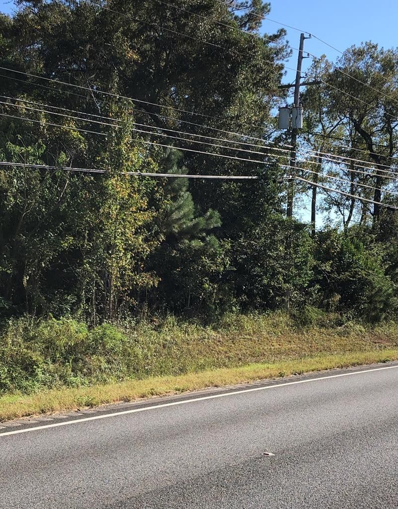 12.56 Acres, 000 N U.S. Highway 319, Thomasville, GA 31757 Land and Farm