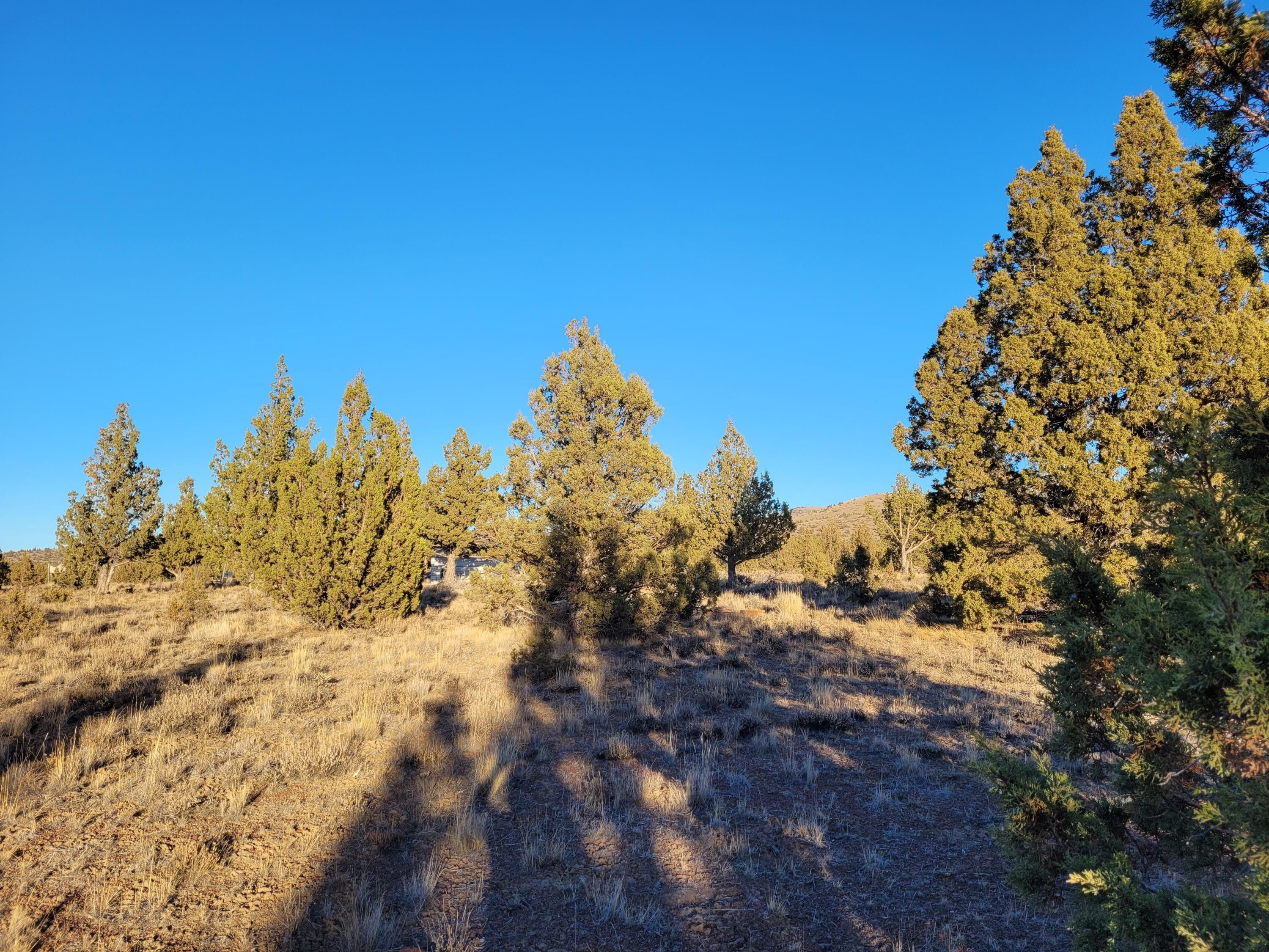 10 acres in Crook County, Oregon