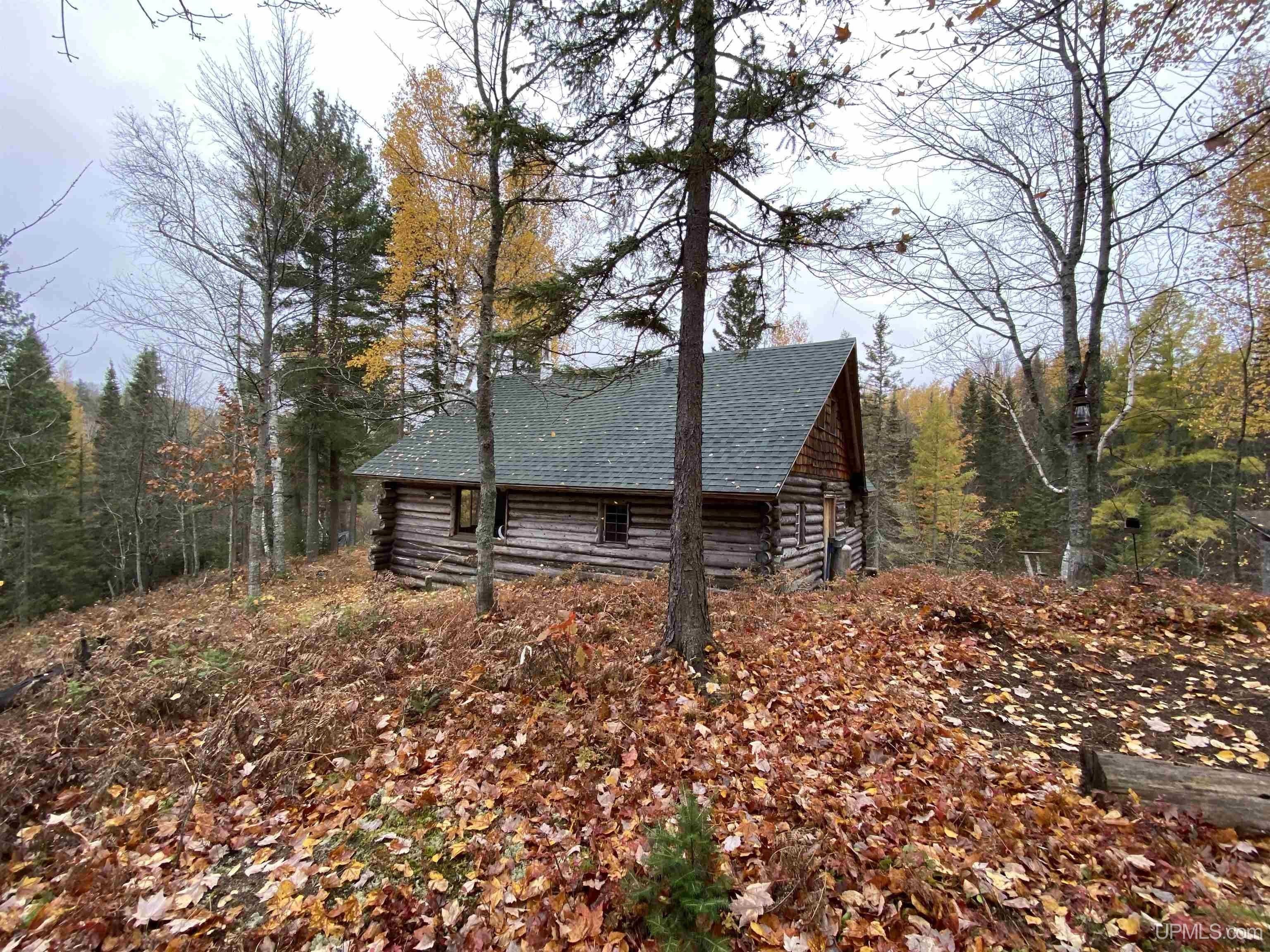 20 Acres, TBD Willow Creek Rd, Ishpeming, MI 49849 Land and Farm