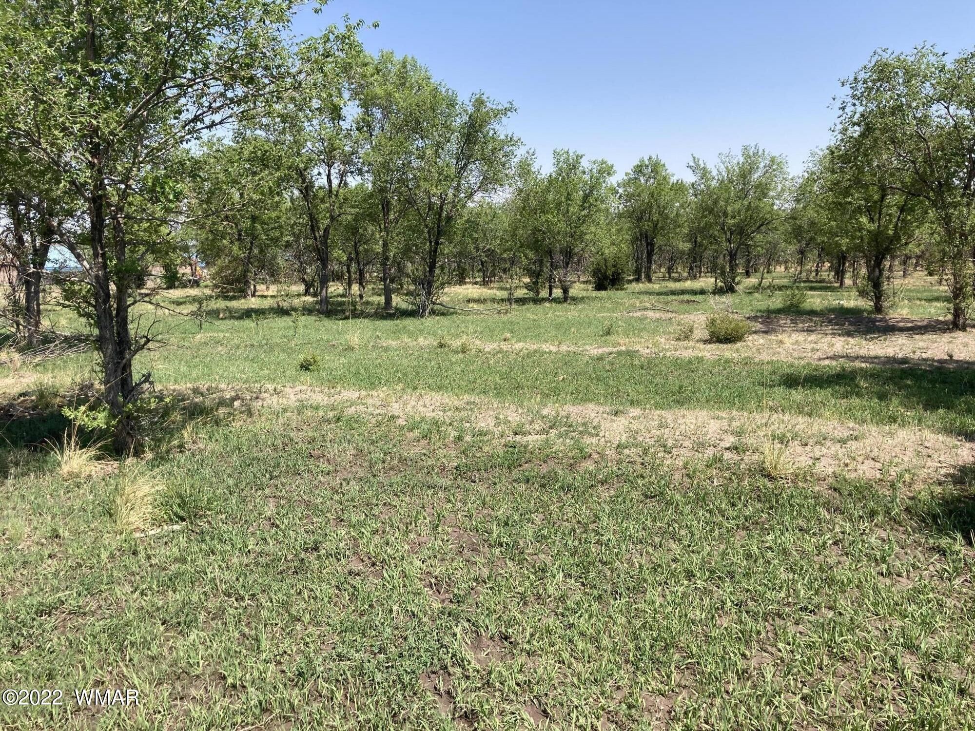 15.97 Acres, 00 E 3RD 15.97 ACRES Street, Eagar, AZ 85925 Land and Farm