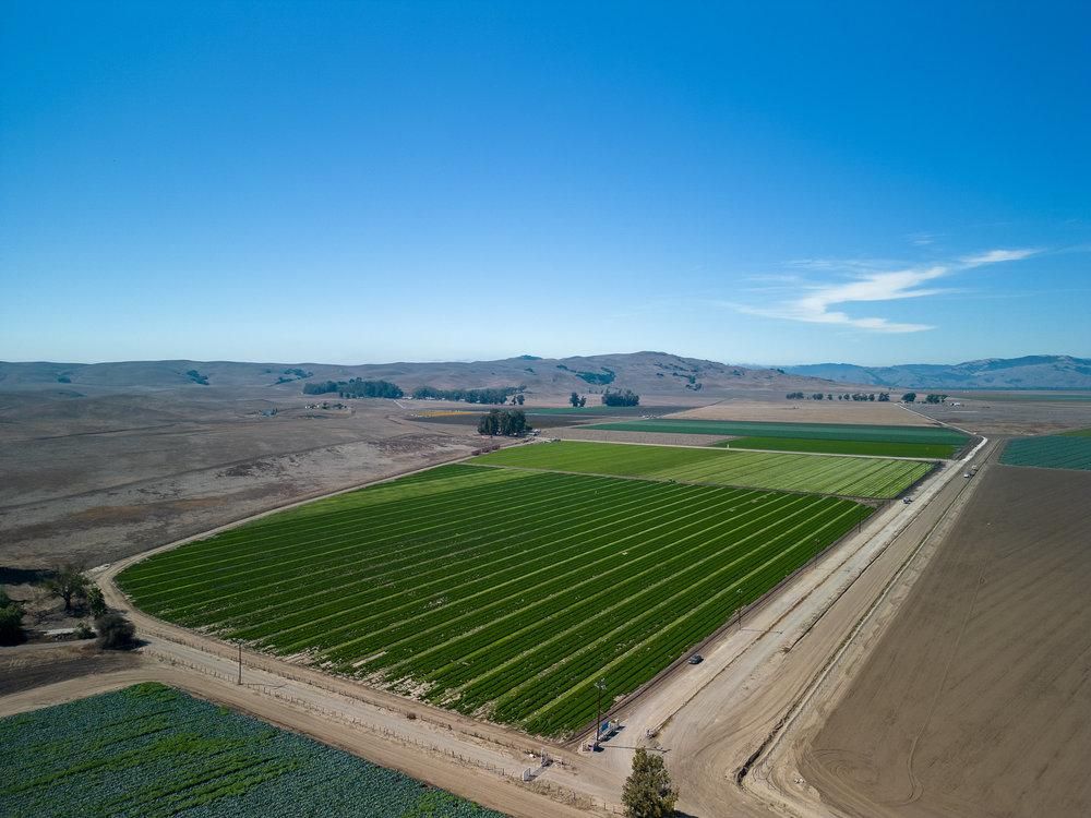 71.44 Acres, Brookhollow Road, Hollister, CA 95023 Land and Farm