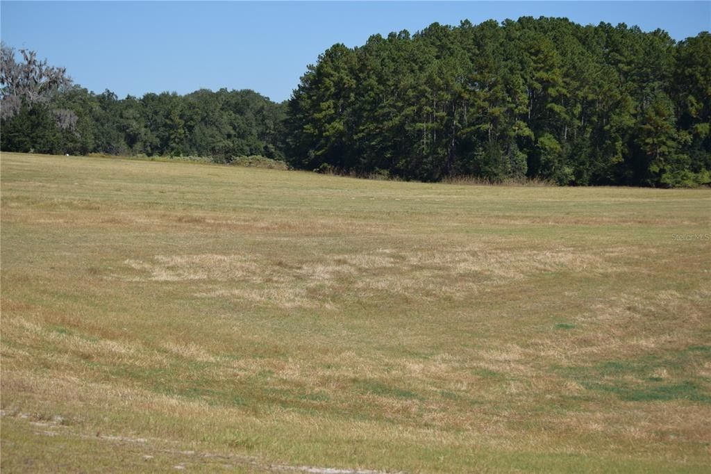 10 Acres, SW MOUNT HOPE DRIVE, Fort White, FL 32038 Land and Farm