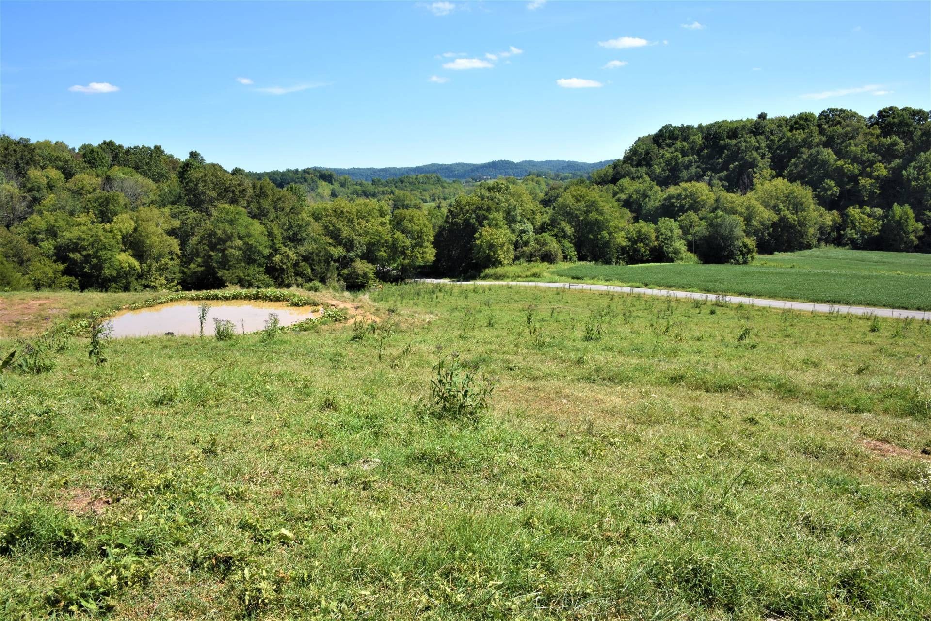 34 Acres, 400 Lewis Creek Road, Burkesville, KY 42717 Land and Farm