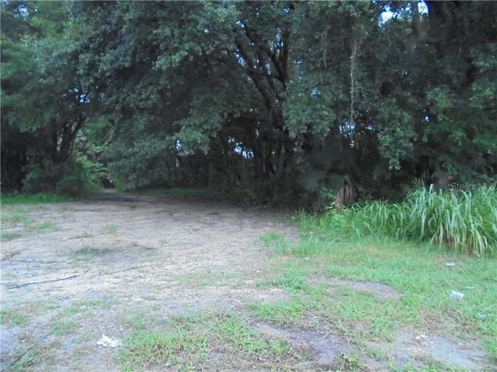 1.17 Acres, CENTER STREET, Leesburg, FL 34748 Land and Farm