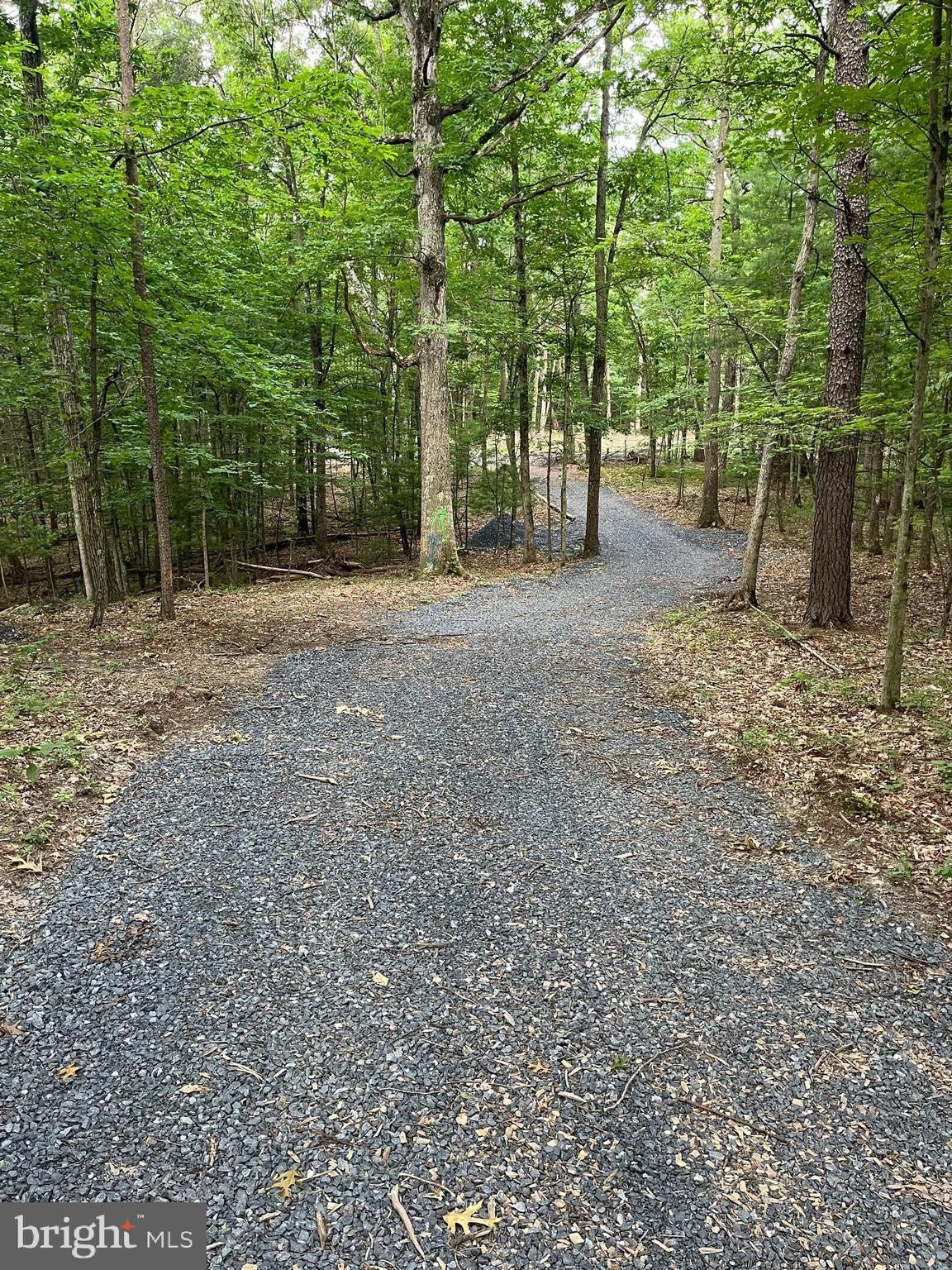 89.03 Acres, TBD DEER HEAD ROAD, Mount Jackson, VA 22842 Land and Farm