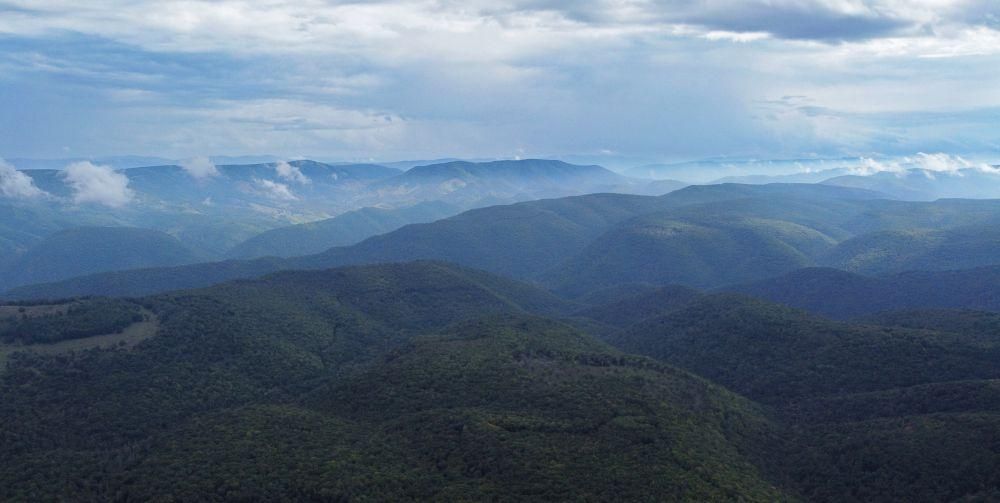 115 Acres, Sawmill Run Road, Circleville, WV 26804 Land and Farm