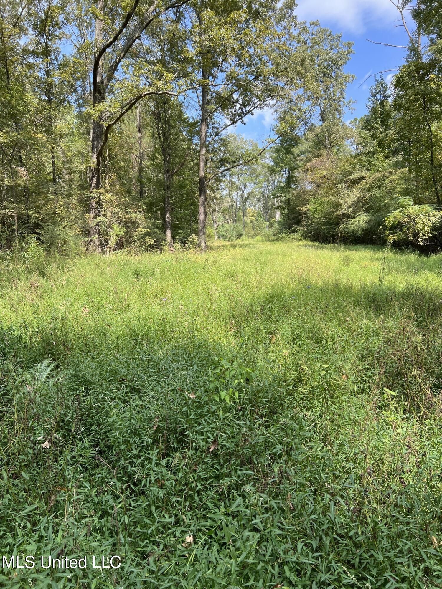 100 Acres, 7819 Springridge Road, Terry, MS 39170 Land and Farm