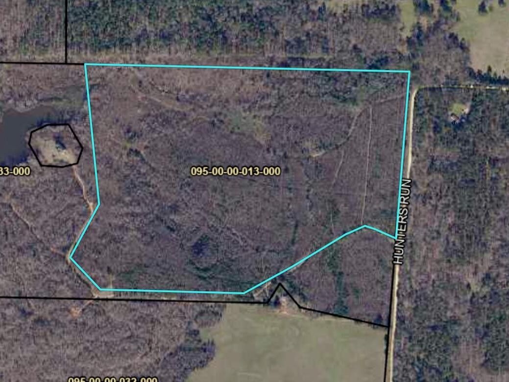 76.38 Acres, 182 HUNTERS RUN, Edgefield, SC 29824 Land and Farm