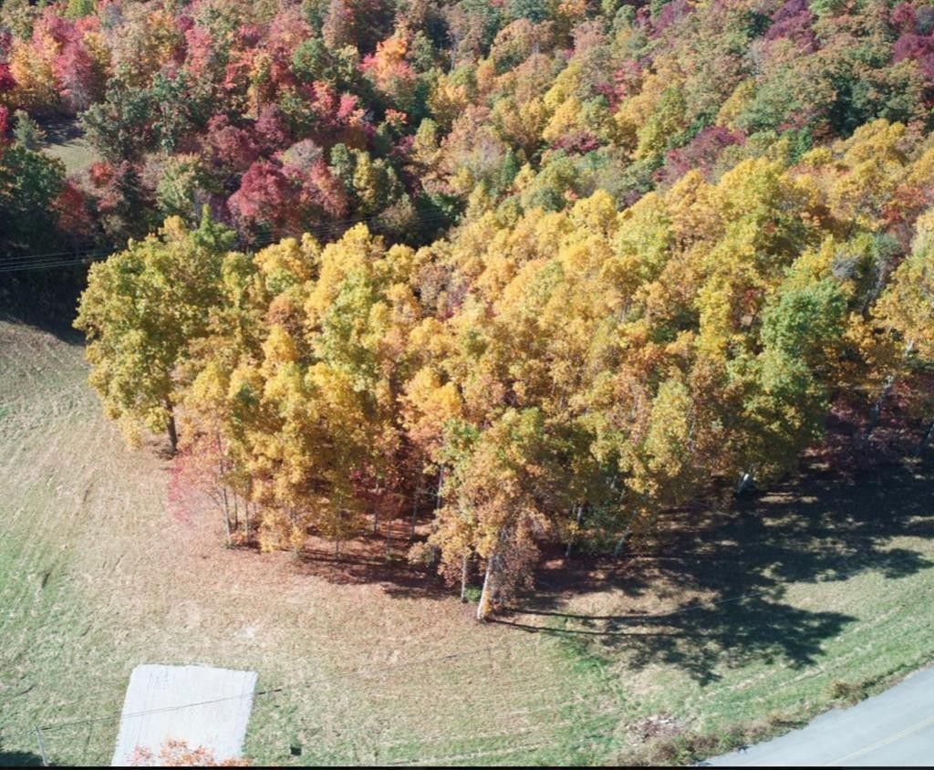 4.49 Acres, Double top rd, Jamestown, TN 38556 Land and Farm