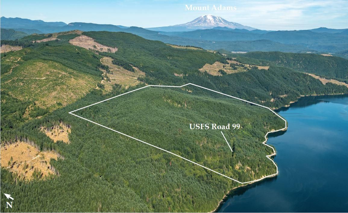 357 Acres, Lewis River Road, Woodland, WA 98674 Land and Farm