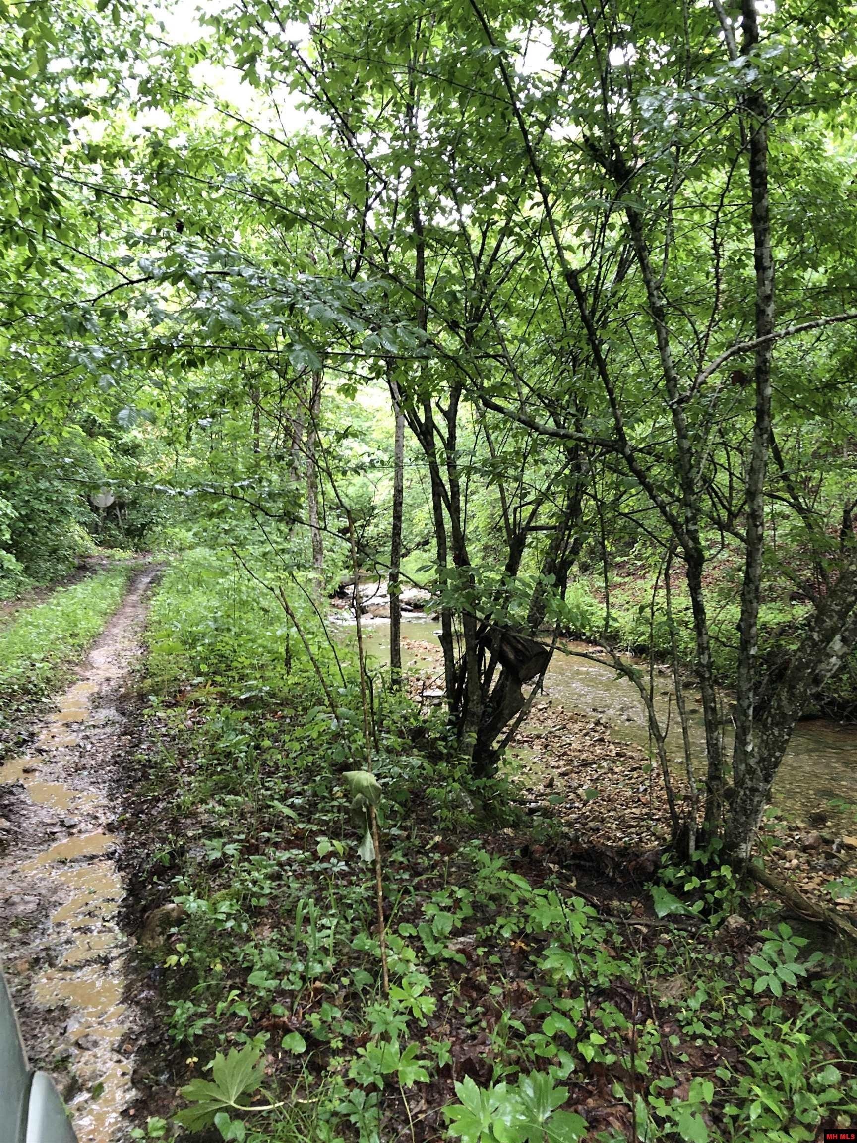 32 Acres, 1400 ONWATA LANE, Yellville, AR 72687 Land and Farm