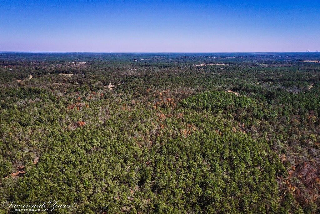 152 Acres, 775 WRIGHT ALLEN Road, Blythe, GA 30805 Land and Farm