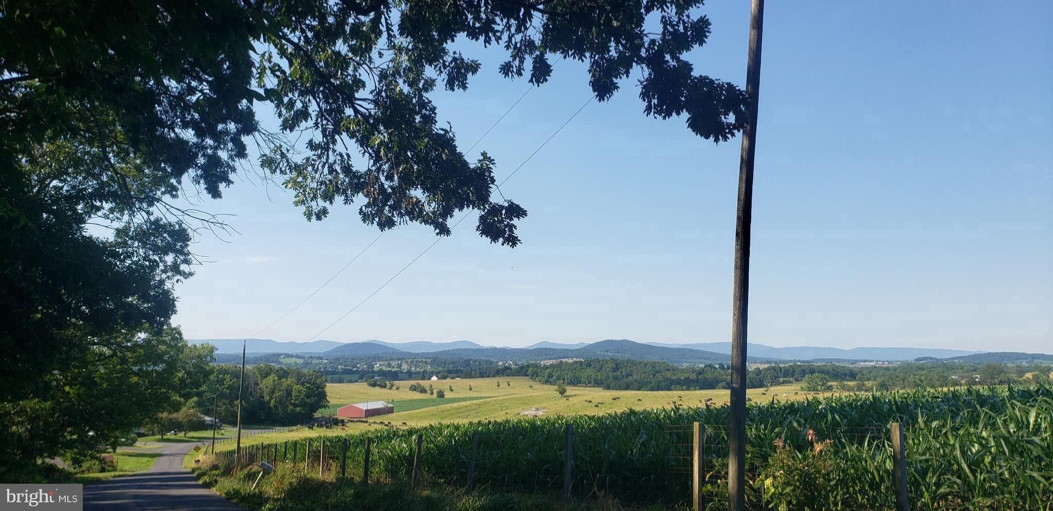 11.13 Acres, Lot 122A GARBER RD, Mount Jackson, VA 22842 Land and Farm