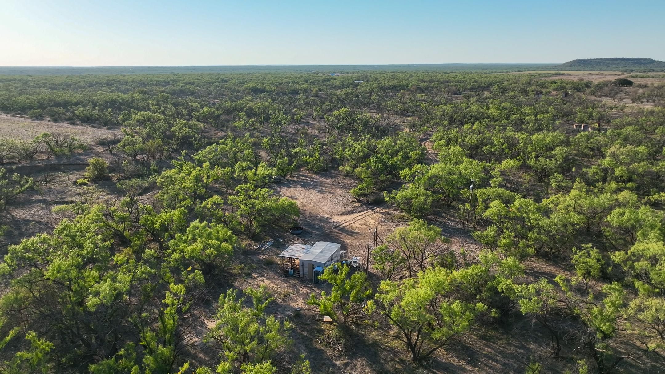 120 Acres, Albany, TX 76430 Land and Farm