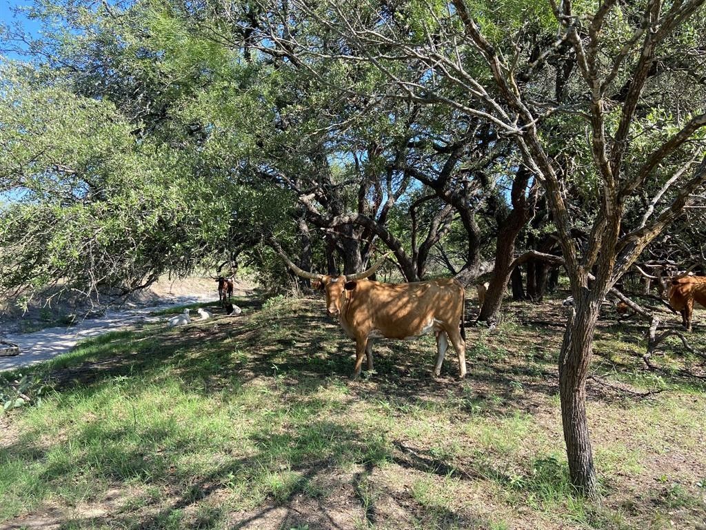28 Acres, Tbd F.M. 3023 Highway S, Goldthwaite, TX 76844 Land and Farm