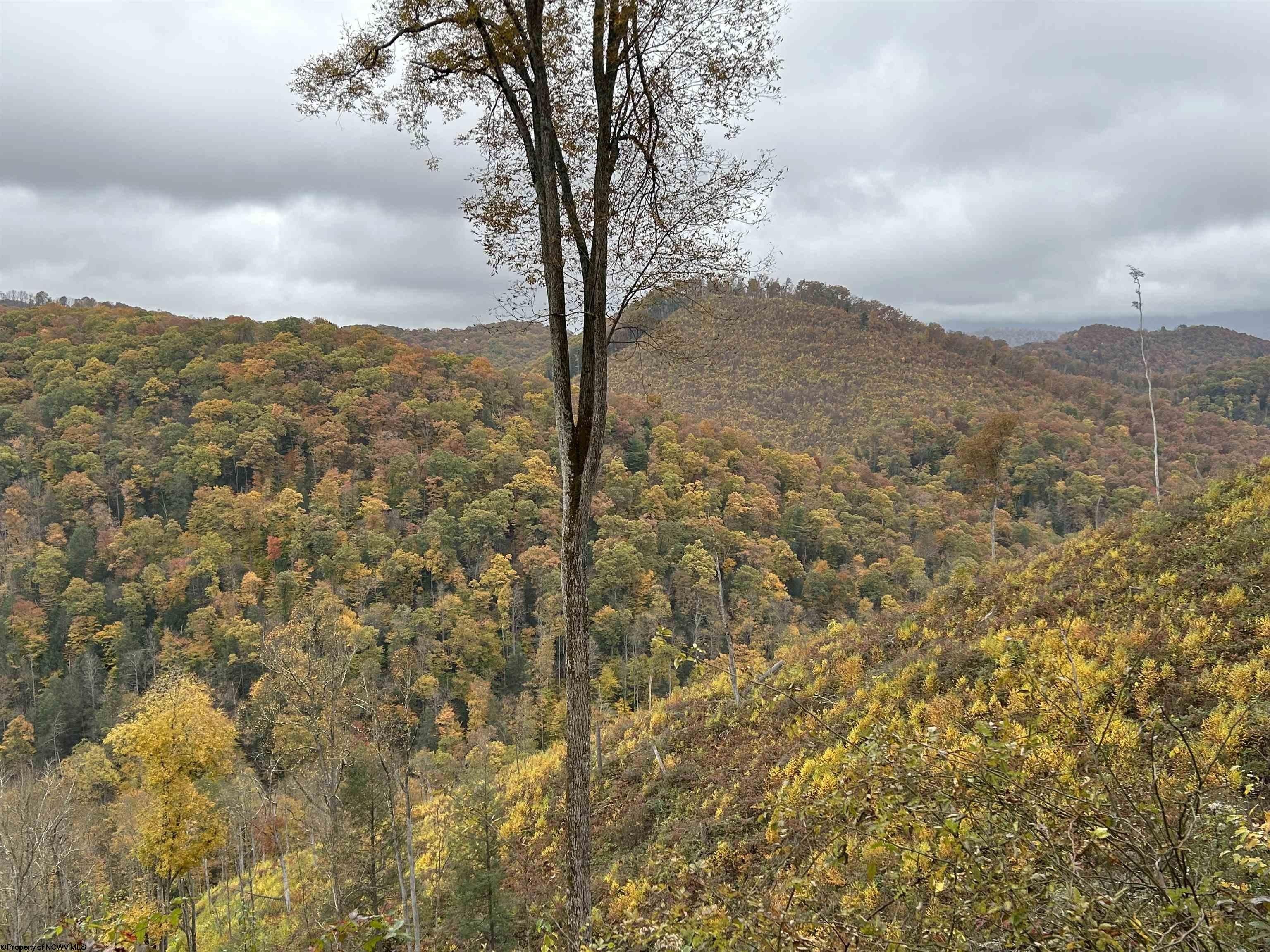 60 Acres, 000 Hile Run Road, Parsons, WV 26287 Land and Farm