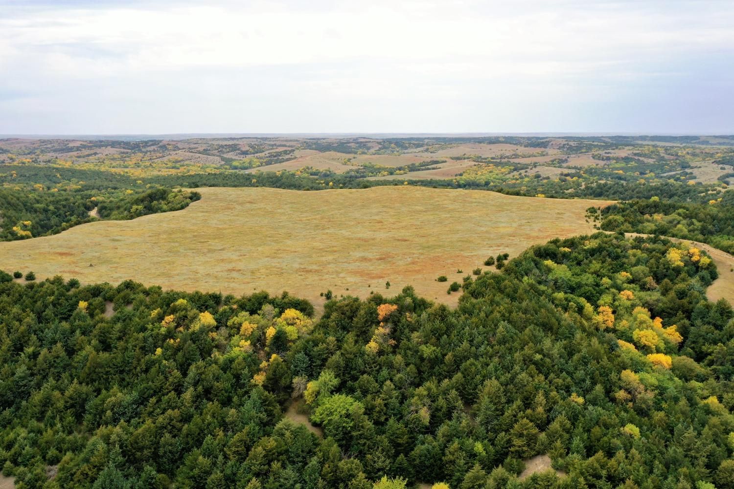 238 acres in Taylor, NE, 68879 Land and Farm