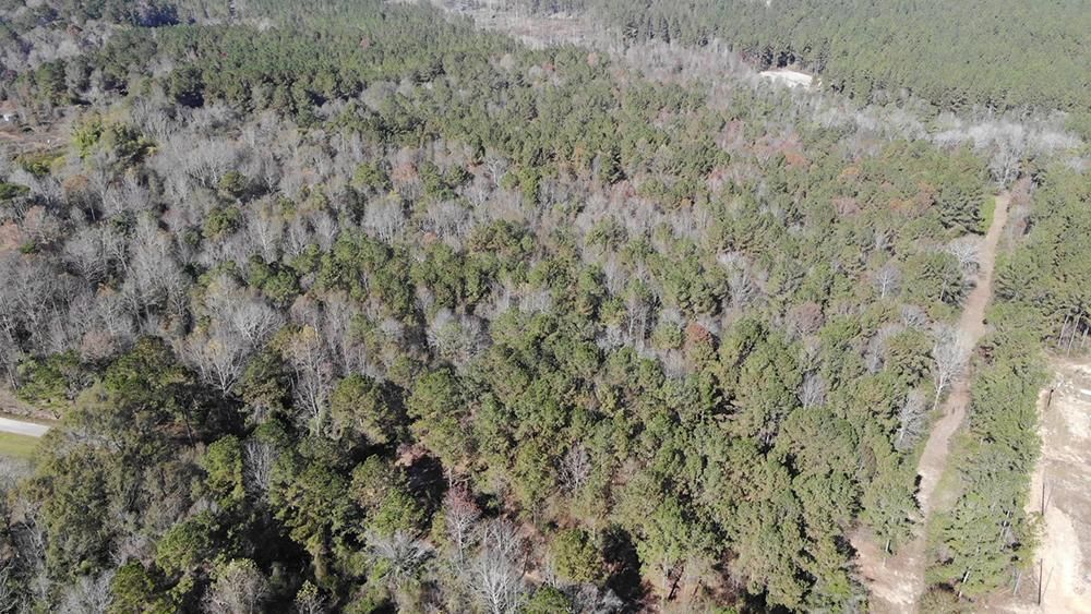 14 Acres, Bucks Road, Ellisville, MS 39437 Land and Farm