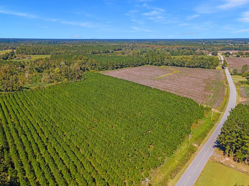 8.35 Acres, 0 Folly Grove Road, Hemingway, SC 29554 Land and Farm