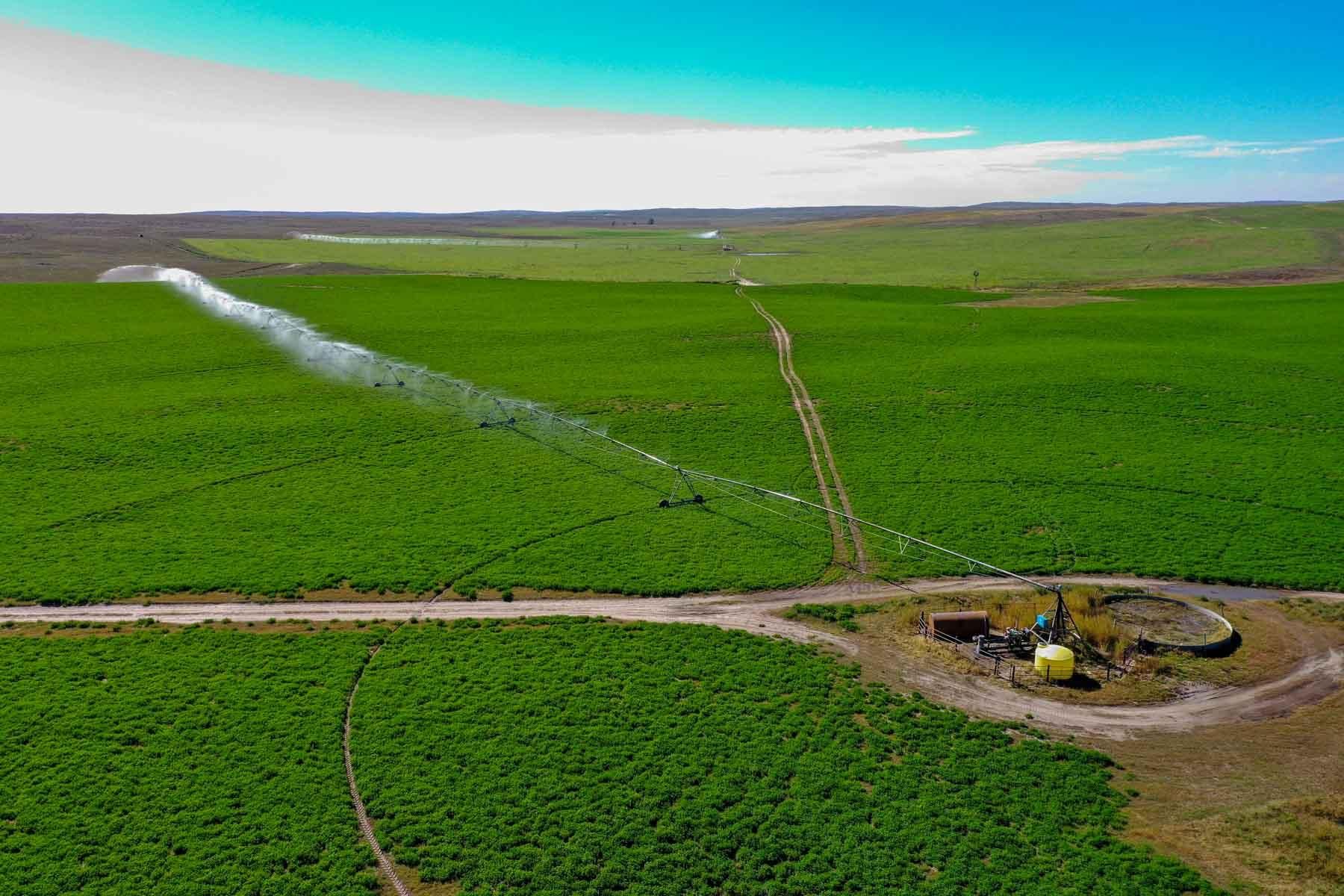 2,080 acres in Paxton, NE, 69155 Land and Farm