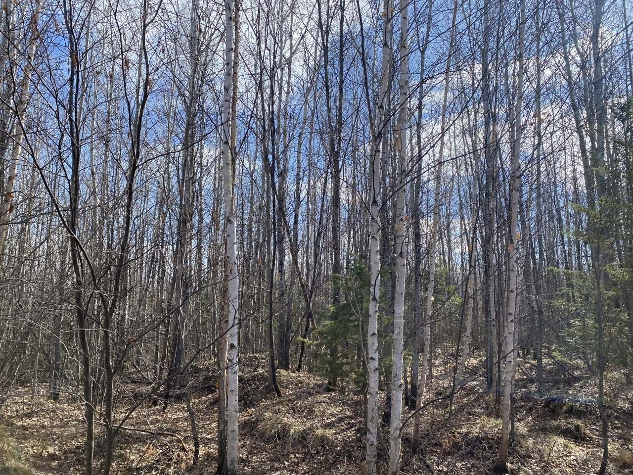 160 Acres, Near BASS LAKE RD, Park Falls, WI 54552 Land and Farm