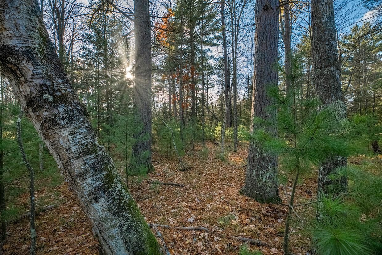 13.58 Acres, Off WATERSMEET LAKE RD, Eagle River, WI 54521 | Land and Farm