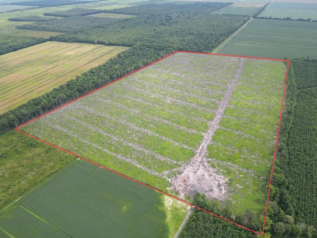 98 Acres, Pantego, NC 27860 Land and Farm