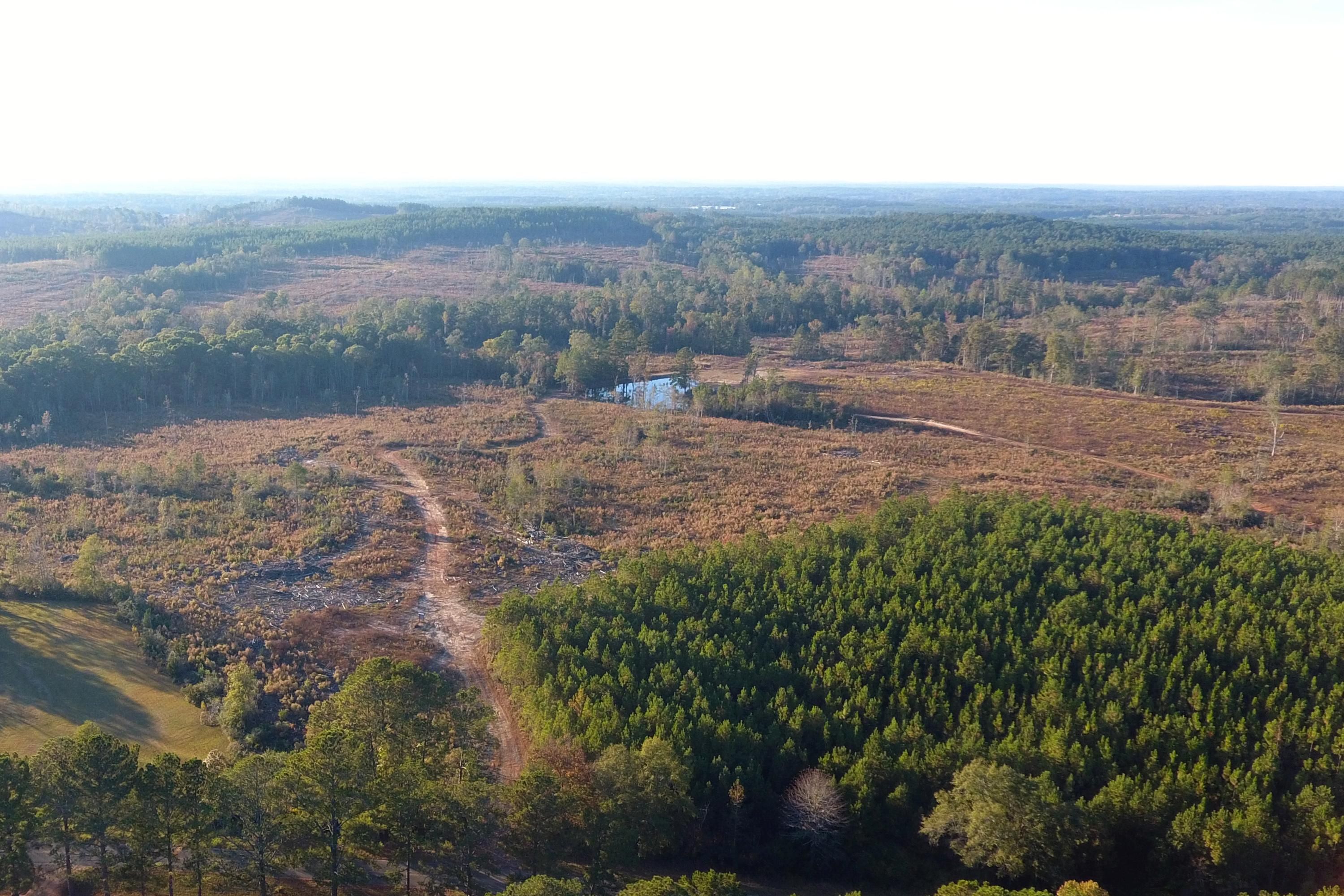 2395 County Road 228, Elba, AL 36323 MLS 527961 Land and Farm