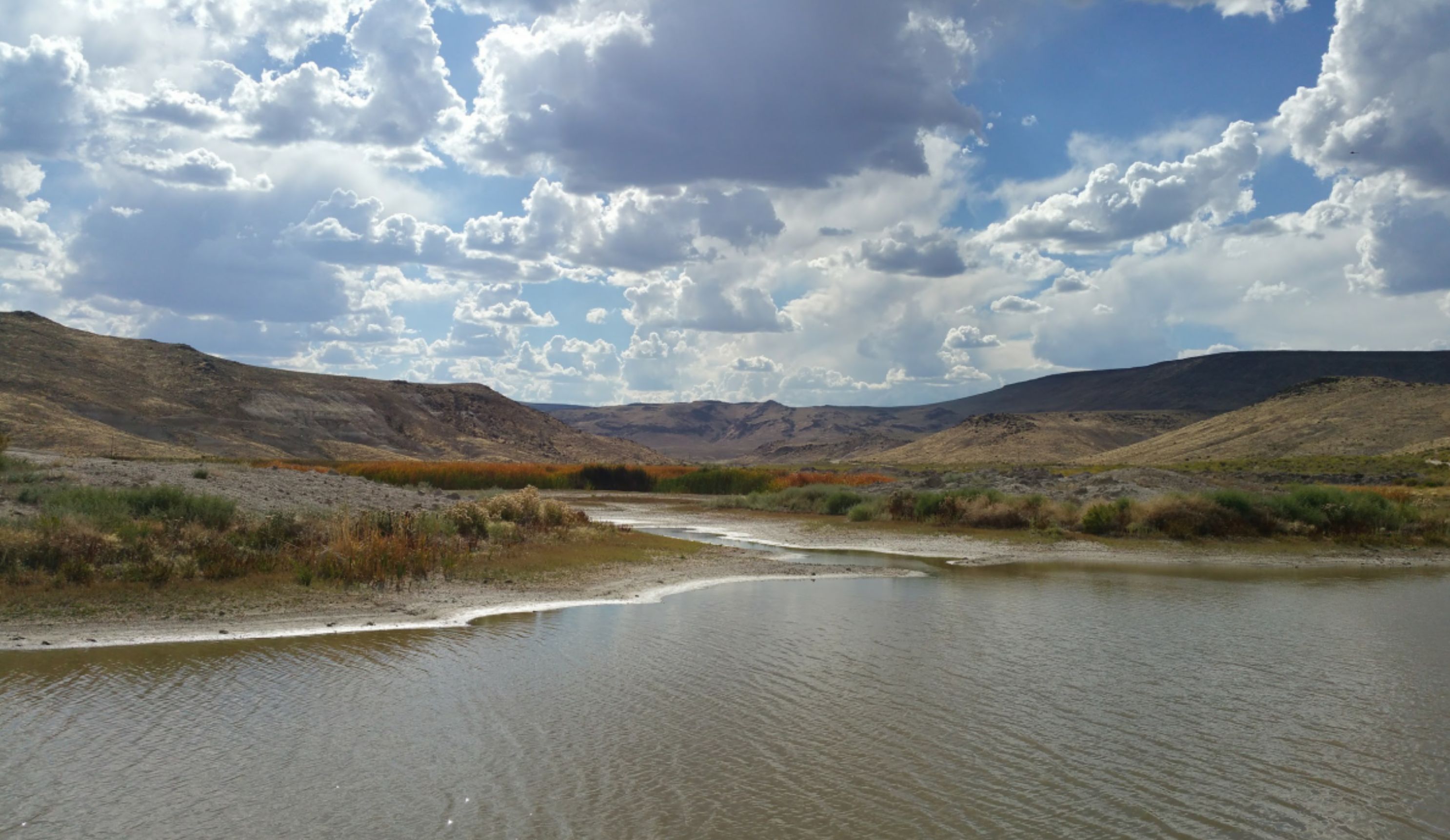 40 Acres, Gerlach, NV 89412 Land and Farm