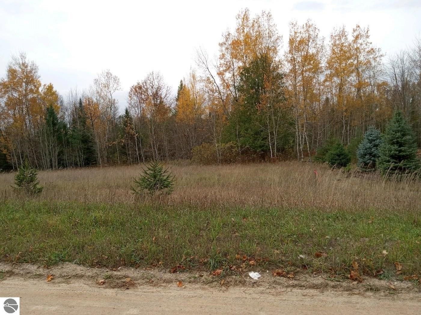 10.2 Acres, 000 Road, Williamsburg, MI 49690 Land and Farm