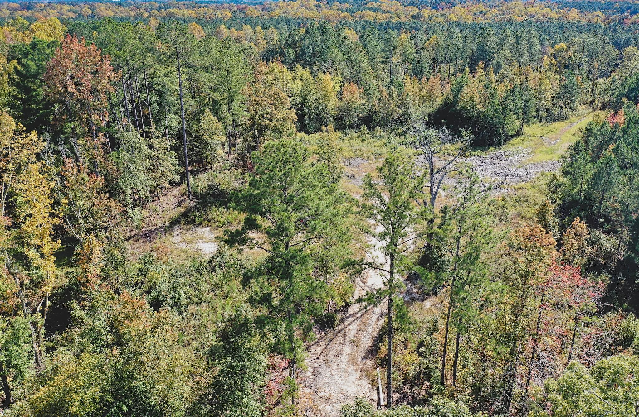 Walters Road, Creedmoor, NC 27522 MLS 2481353 Land and Farm