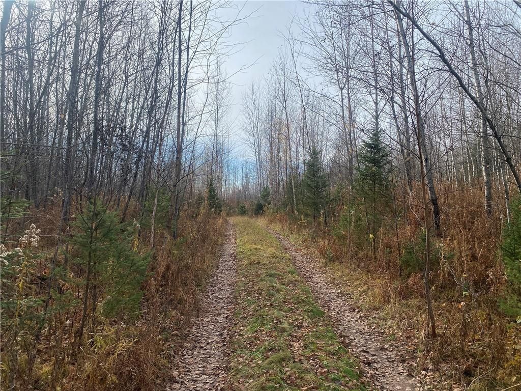 83.75 Acres, Near Right of Way Road, Butternut, WI 54514 Land and Farm